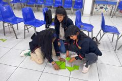 Dia-Fractal-001-CIENTEC-2023